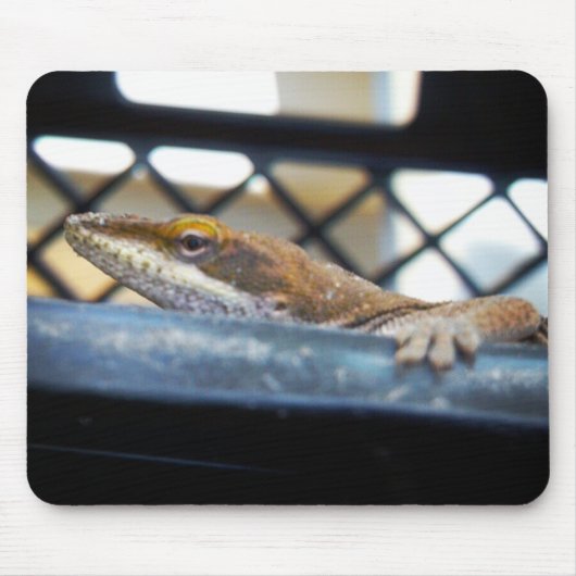 Sunning Green Anole Lizard Foto Muismat (Voorkant)