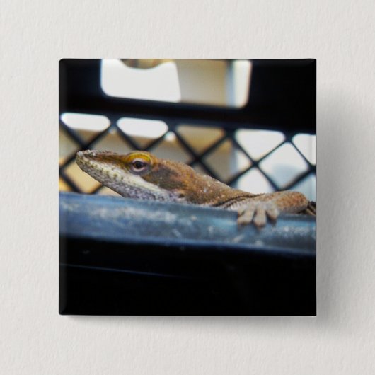 Sunning Green Anole Lizard Foto Vierkante Button 5,1 Cm (Voorkant)