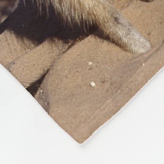 Sunning Meerkats Fleece Blanket (Hoek)