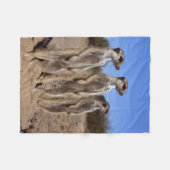 Sunning Meerkats Fleece Blanket Deken (Voorkant (Horizontaal))