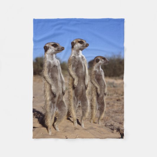 Sunning Meerkats Fleece Blanket Deken (Voorkant)