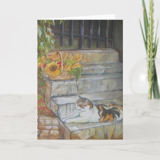 Sunning Tabby Kaart (Voorkant)