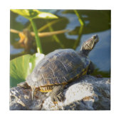 Sunning Tegeltje (Voorkant)