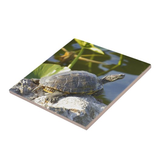 Sunning Tegeltje (Zijkant)