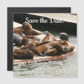 Sunning Zee Lions in San Francisco Save the Date (Voorkant / Achterkant)