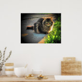 Sunny and Cold Grumpy Angel Cat door djoneill Poster (Keuken)