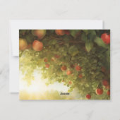 Sunny Apple Orchard Feestdagenkaart (Achterkant)