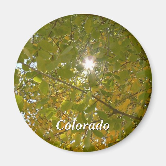 Sunny Aspen Magneet (Voorkant)