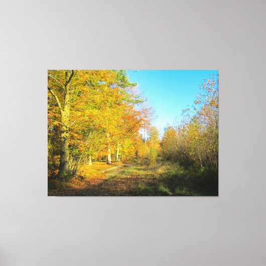 Sunny Autumn Forest - Canvas Afdruk (Voorkant)