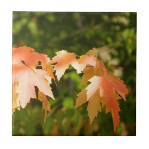 Sunny Autumn Leaves Decorative Tegel Tegeltje