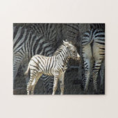 Sunny Baby Zebra Legpuzzel (Horizontaal)