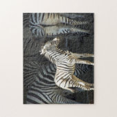 Sunny Baby Zebra Legpuzzel (Verticaal)