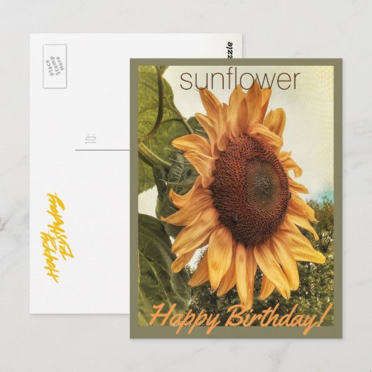 Sunny Birthday Wishes Briefkaart (Voorkant / Achterkant)