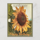 Sunny Birthday Wishes Briefkaart (Voorkant)