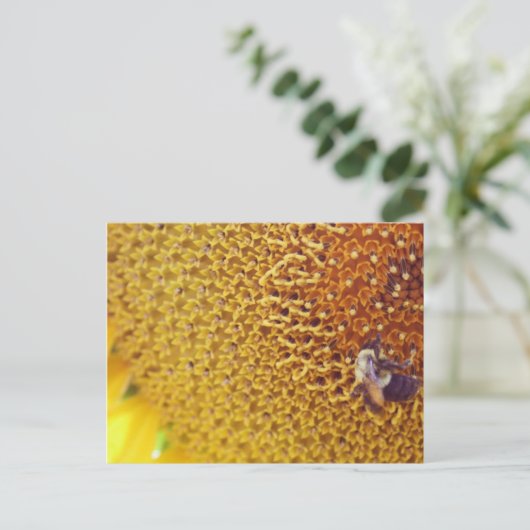 Sunny Briefkaart (Staand voorkant)