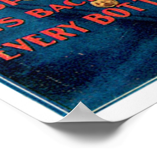 Sunny Brook Whiskey  Drink en kunst Poster (Hoek)