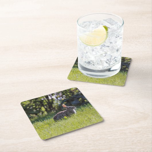 Sunny Bunny Kartonnen Onderzetters (Insitu)