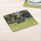 Sunny Bunny Kartonnen Onderzetters (Schuin)