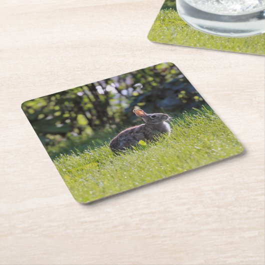 Sunny Bunny Kartonnen Onderzetters (Schuin)