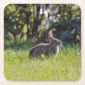 Sunny Bunny Kartonnen Onderzetters (Voorkant)