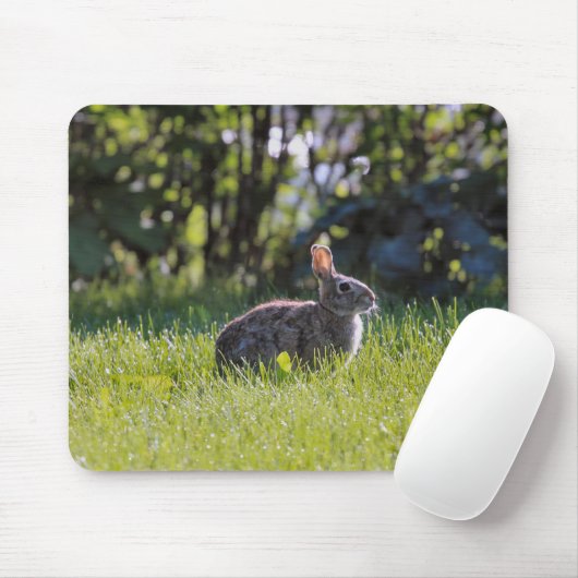 Sunny Bunny Muismat (Met muis)