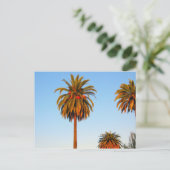 Sunny California Palm Trees Briefkaart (Staand voorkant)