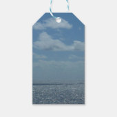 Sunny Caribbean Zee Blue Ocean Cadeaulabel (Voorkant)