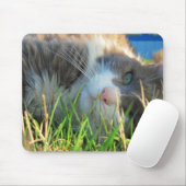 Sunny Cat is Sunny Muismat (Met muis)