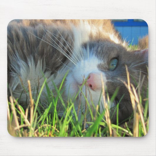 Sunny Cat is Sunny Muismat (Voorkant)
