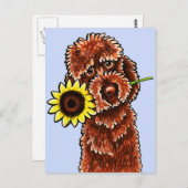 Sunny Chocolate Labradoodle Off-Leash Art™ Briefkaart (Voorkant / Achterkant)
