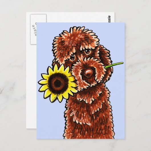 Sunny Chocolate Labradoodle Off-Leash Art™ Briefkaart (Voorkant / Achterkant)