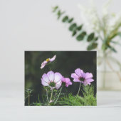 Sunny Cosmea Flowers DIY Briefkaart (Staand voorkant)