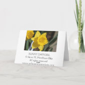 Sunny Daffodil Kaart (Achterkant)