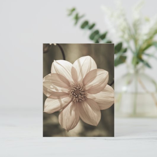 Sunny Dahlia Briefkaart (Staand voorkant)