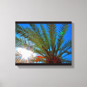Sunny Date Tree Canvas Afdruk (Voorkant)