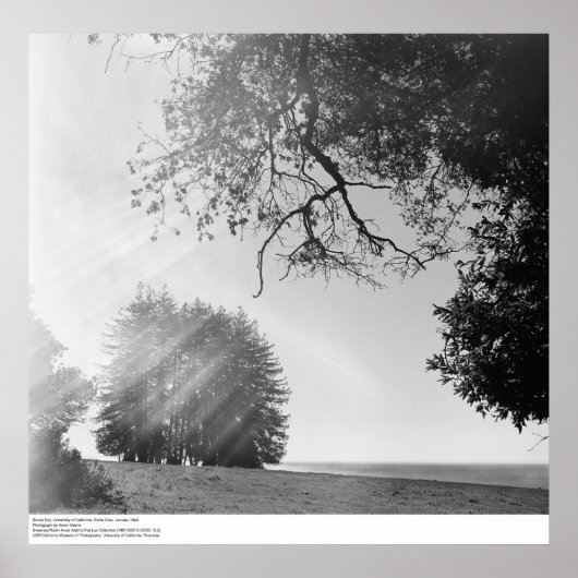 Sunny Day, Universiteit van Californië, Santa Cruz Poster (Voorkant)