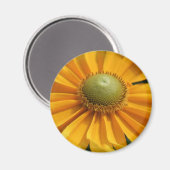 Sunny Day Yellow Gerbera Button Magneet (Voorkant / Achterkant)