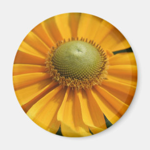 Sunny Day Yellow Gerbera Button Magneet