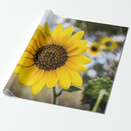 Sunny Daze Cadeaupapier (Uitgerold)