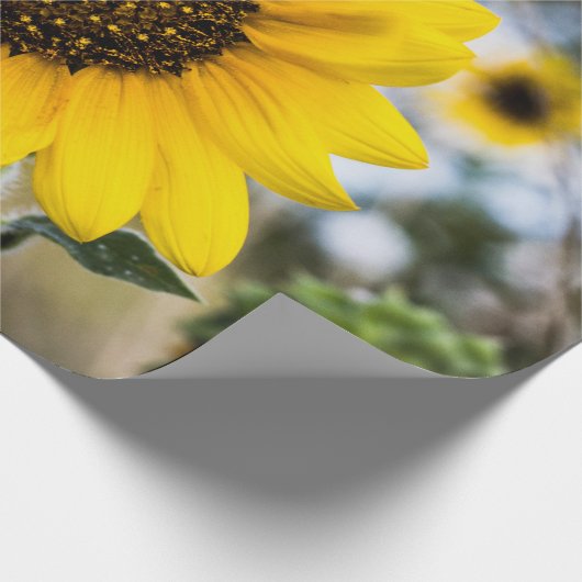 Sunny Daze Cadeaupapier (Hoek)