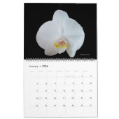 Sunny Daze Photo Calendar of Flowers Kalender (Jan 2026)