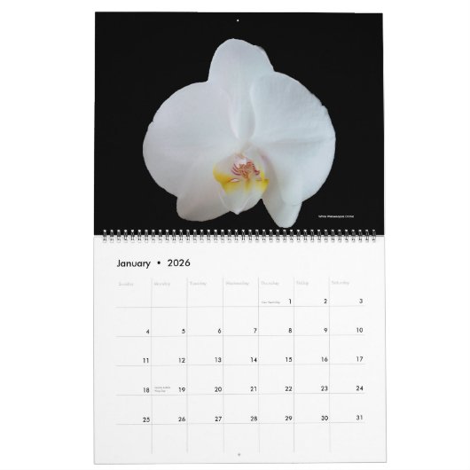 Sunny Daze Photo Calendar of Flowers Kalender (Jan 2026)