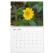 Sunny Daze Photo Calendar of Flowers Kalender (Mar 2026)