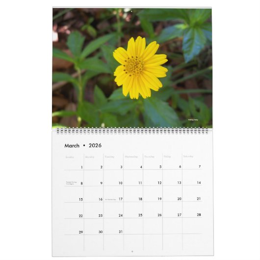 Sunny Daze Photo Calendar of Flowers Kalender (Mar 2026)