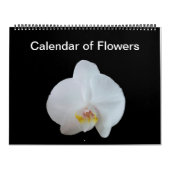 Sunny Daze Photo Calendar of Flowers Kalender (Hoes)