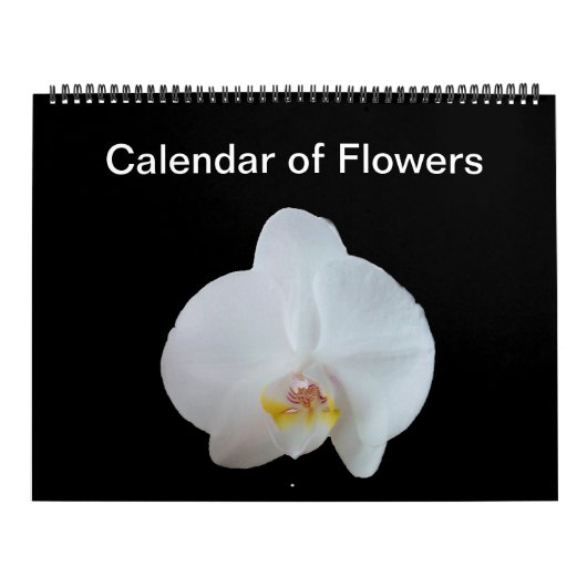Sunny Daze Photo Calendar of Flowers Kalender (Hoes)
