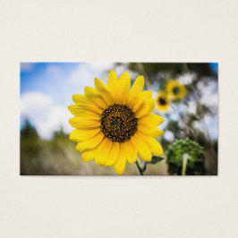 Sunny Daze Visitekaartjes