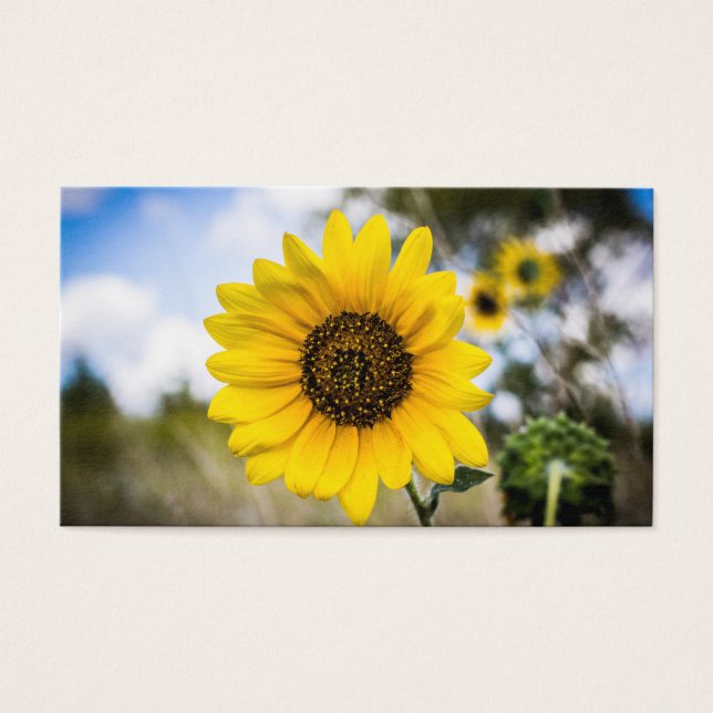 Sunny Daze Visitekaartjes (Voorkant)