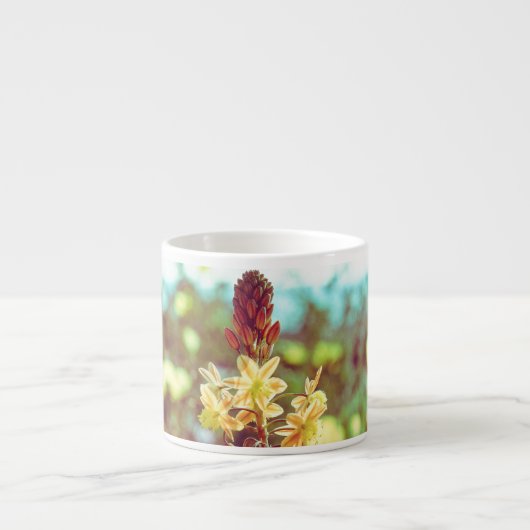 Sunny Field Espresso Kop (Voorkant)