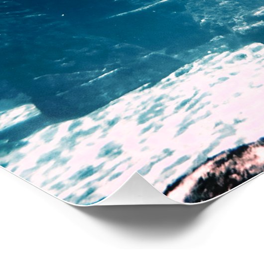 Sunny Fish Tank Perfect Poster (Hoek)